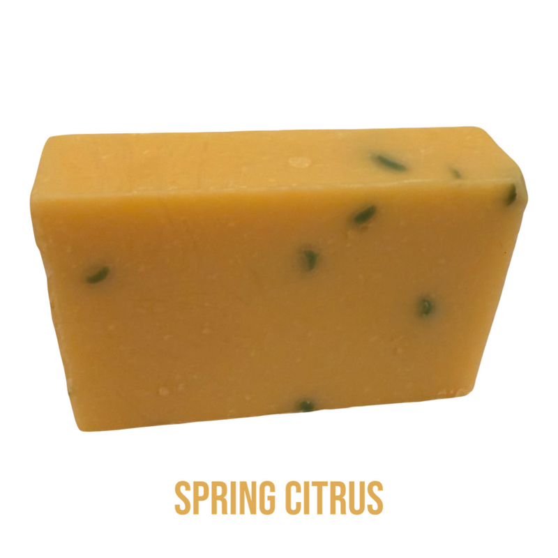 American Spring Soap Spring Citrus Bar Soap - Ferocious Beard Company